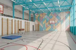 Спортивный зал в школе: оснащение и оформление