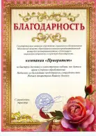 ГКУ «Бронницкий социально-реабилитационный центр для несовершеннолетних «Алый парус» 