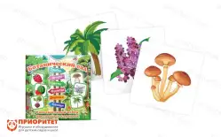 Набор карточек «Ботанический сад»1