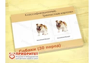 Комплект трехчастных карточек Монтессори «Собаки»