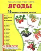 Демонстрационные карточки «Ягоды» (173x220 мм)1
