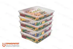 Фанкластик: весь мир в руках твоих 6 (5-6 лет)1