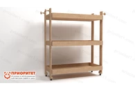 Стеллаж для спортинвентаря «Спортивный успех»