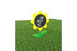 МАФ для конспектирования «Одуванчик»1