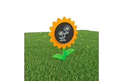 МАФ для конспектирования «Подсолнух»1