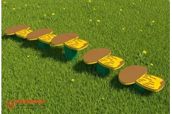 Полоса препятствий «Белые грибы»1