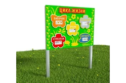 Модуль «Цикл жизни»1