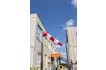 «Ветровой рукав малый» с опорами модель 1_1