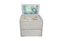 Сундучок психолога-дефектолога1