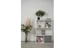 Шкаф «Стильное решение» (4)_1