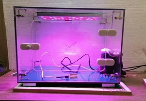 Биолаборатория. Умная грядка