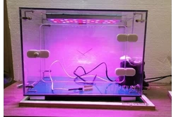 Биолаборатория. Умная грядка1