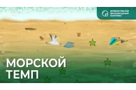 ИФК блок Морской темп