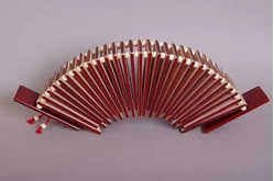 Трещотка пластинчатая «гармошка» тонированная1