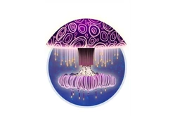 ПО для интерактивного пола Innovatic Остров Креативия ПО для интерактивного пола Innovatic Остров Креативия1