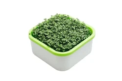 Обучающий комплект экологической направленности Сити-фермер 2.0 Детский сад 20 чел.1