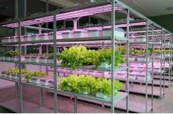 Обучающий комплект АГРОкласс1