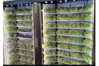 Вертикальная ферма Моя микрозелень комплектация Театро настенная