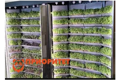 Вертикальная ферма Моя микрозелень комплектация Театро настенная Вертикальная ферма Моя микрозелень комплектация Театро настенная