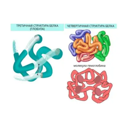 khimiya-kletki-veshchestva-kletki-i-tkani-rasteniy-interaktivnoe-uchebnoe-posobie-v-5-0-box-naglyadnaya-biologiya-3