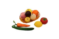 Комплект муляжей демонстрационный Растениеводство