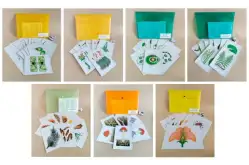 Комплект моделей-аппликаций демонстрационный Растениеводство1