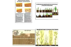 Комплект демонстрационных учебных таблиц/плакатов по агрономии1
