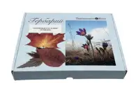 Гербарий Кормовые растения