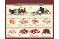 Стенд Обработка субпродуктов и костей птицы и дичи