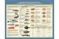 Стенд Способы обработки костной рыбы. Полуфабрикаты. Порционные куски. Пласты