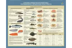 Стенд Способы обработки костной рыбы. Полуфабрикаты. Порционные куски. Пласты1
