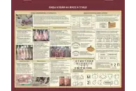 Стенд Виды клейм на мясе и птиц