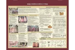 Стенд Виды клейм на мясе и птиц1