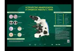 Электрифицированный стенд Устройство микроскопа и правила работы c ним1