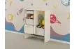 Шкаф для игрушек во входную группу4_1