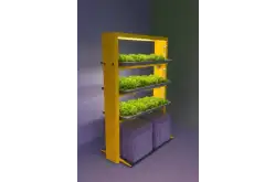 Станция зелени1