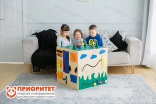 Бизикуб «Дружная семья»