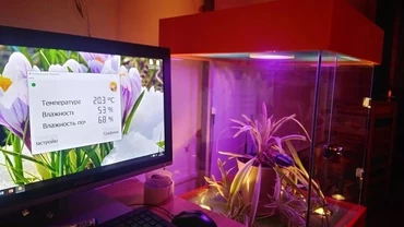 Биолаборатория. Умная теплица (Базовая версия)