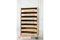 Бокс для гериатрии 7 модулей (all инклюзив)