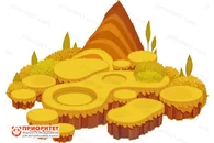 ПО для интерактивного пола Magium «Остров Амазоника»