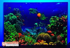 Интерактивное светящееся панно Морское дно с УФ лучами Интерактивное светящееся панно Морское дно с УФ лучами1