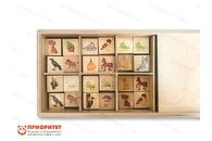 Набор карточек «Животные и растения»