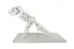 Модель динозавра Гость из прошлого (на подставке)_1