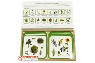 Комплект карточек Монтессори «Растения по отношению к человеку»