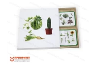 Комплект карточек Монтессори «Культурные растения»