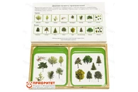 Комплект карточек Монтессори «Деревья по среде»