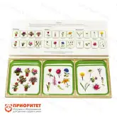 Комплект карточек Монтессори «Цветы»1