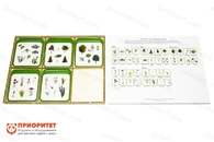 Комплект карточек Монтессори «Растения по природным зонам»