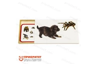 Комплект карточек Монтессори «Позвоночные и беспозвоночные»