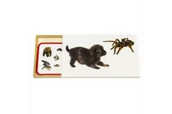 Комплект Монтессори «Позвоночные и беспозвоночные»1